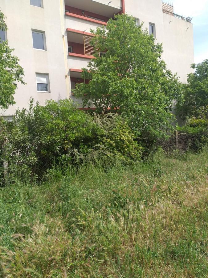 Apartment Le Nomade, Parc Montcalm Et Stationnement Prive Montpellier